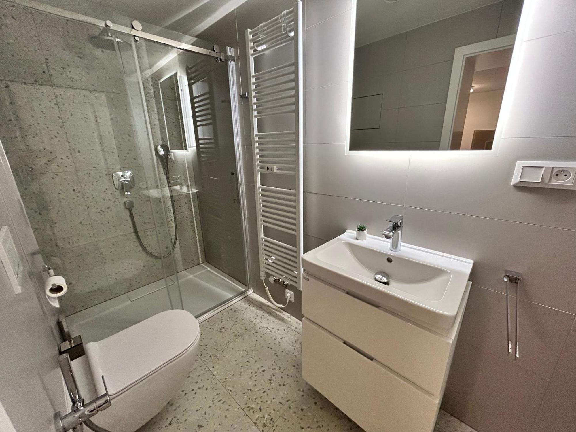 Apartment Brno